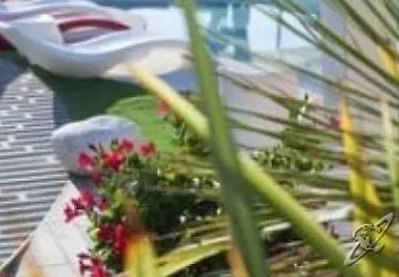 Hotel Doge Alba Adriatica